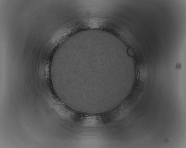 X0000111530740200907281402