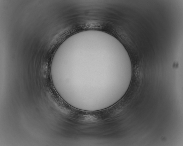 X0000111530741200907281402