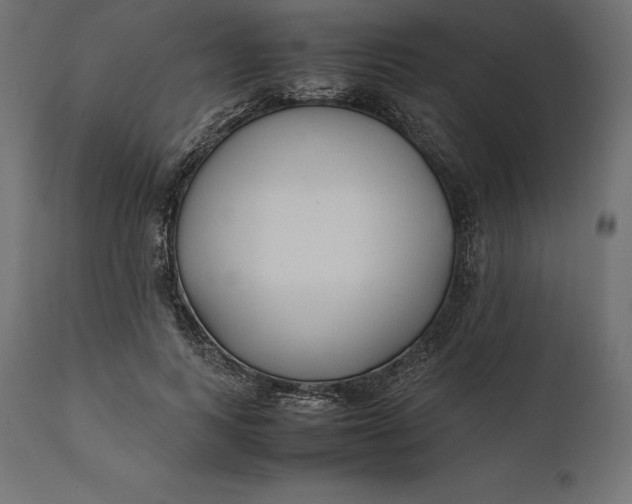 X0000111530743200907281402