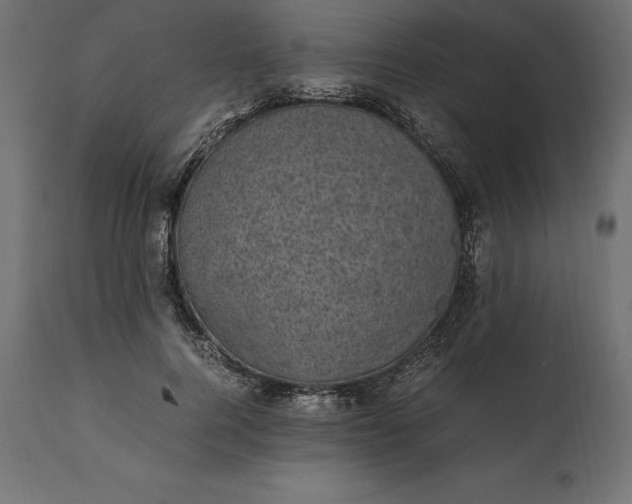 X0000111530744200907281402