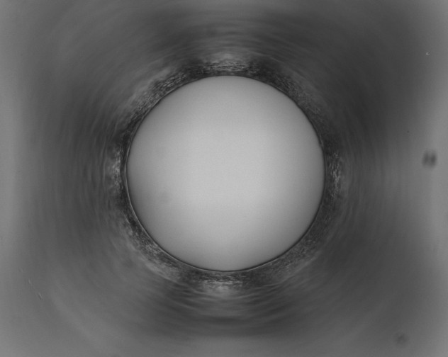 X0000111530745200907281402