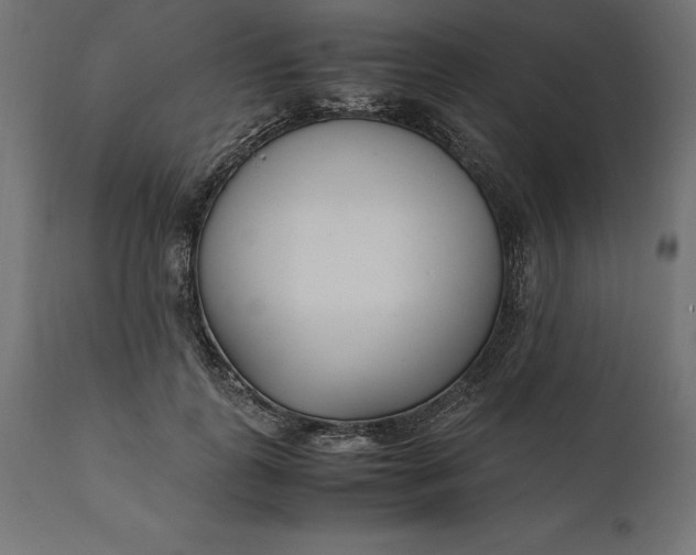 X0000111530747200907281402