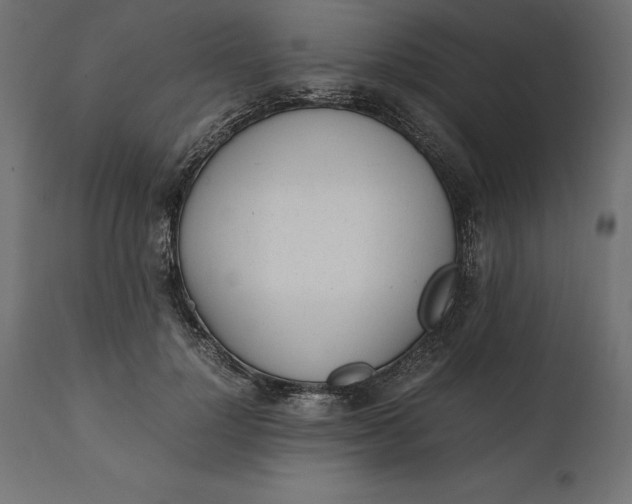 X0000111530748200907281402