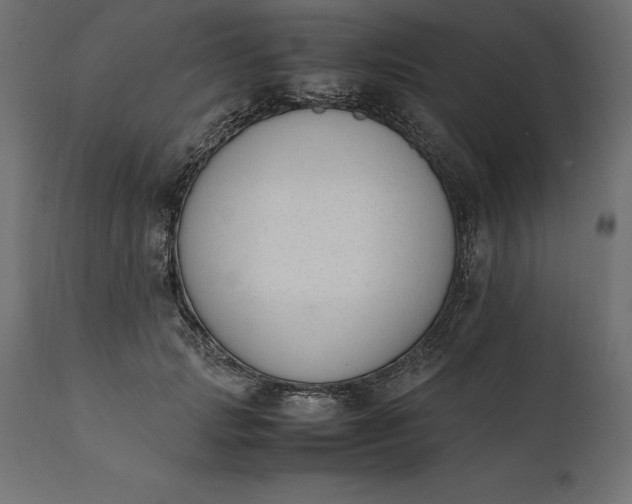 X0000111530749200907281402