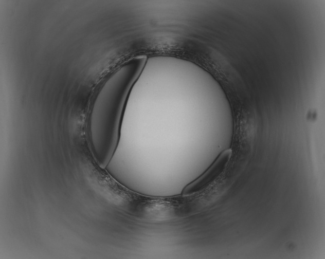 X0000111530750200907281402