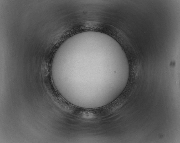 X0000111530751200907281402