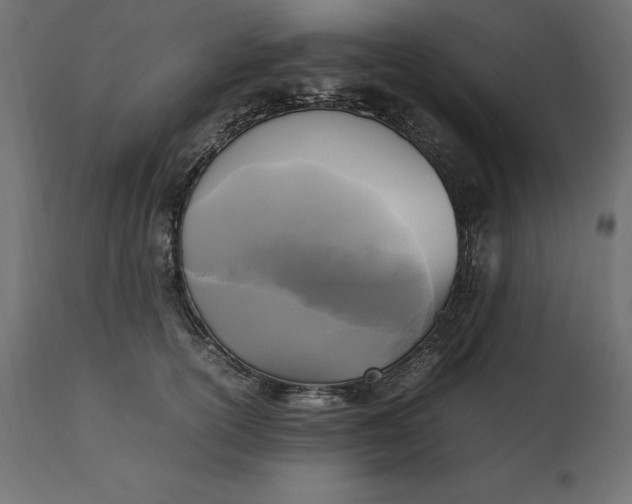 X0000111530754200907281402