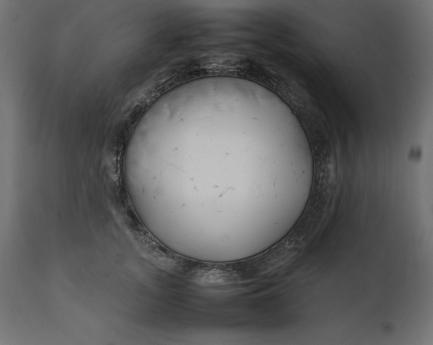 X0000111530755200907281402