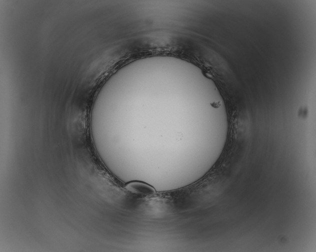 X0000111530756200907281402