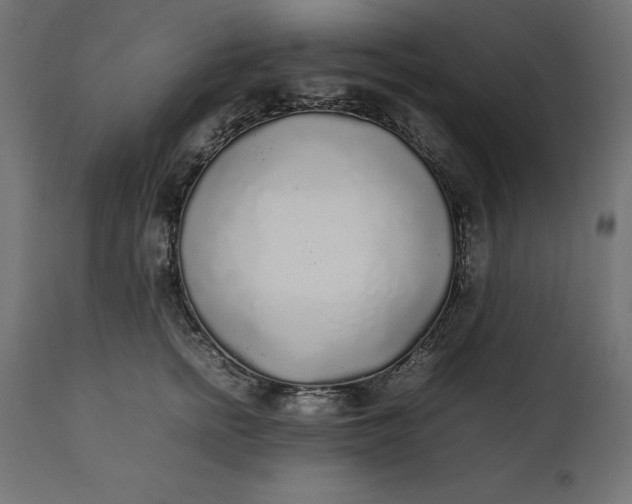 X0000111530758200907281402