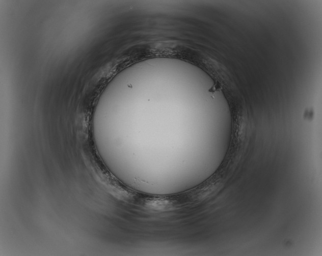 X0000111530759200907281402