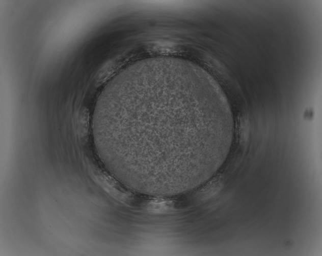 X0000111530760200907281402