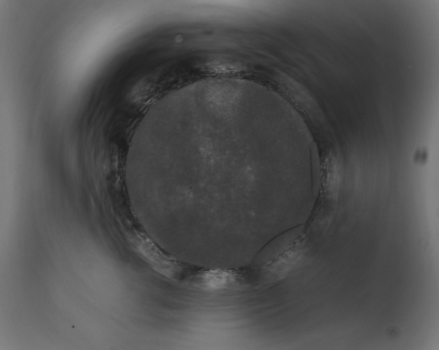 X0000111530762200907281402