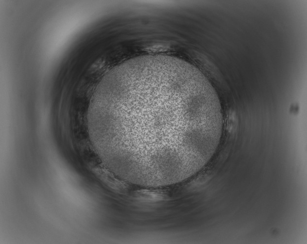 X0000111530763200907281402