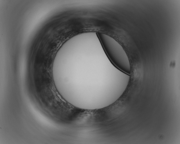 X0000111530764200907281402