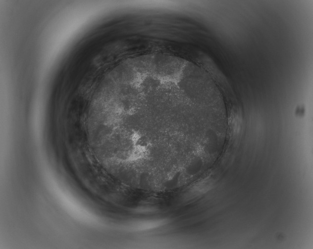 X0000111530765200907281402