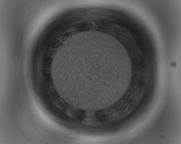 X0000111530766200907281402