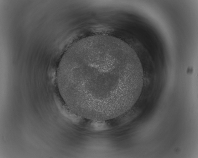 X0000111530767200907281402