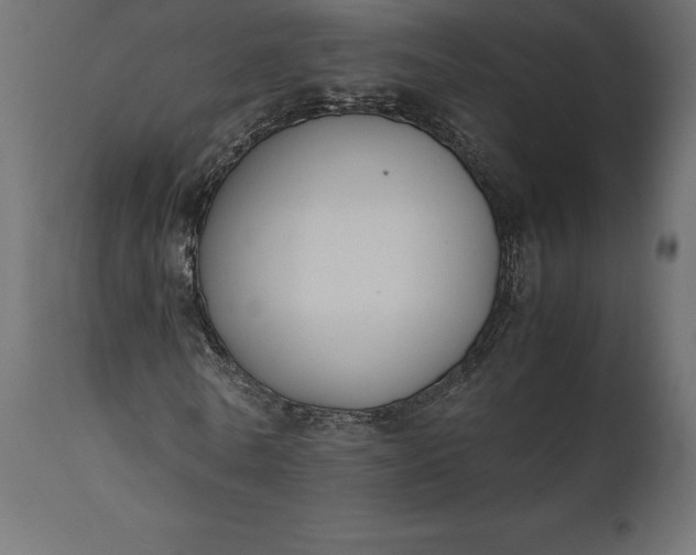 X0000111530770200907281402