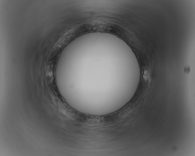 X0000111530771200907281402