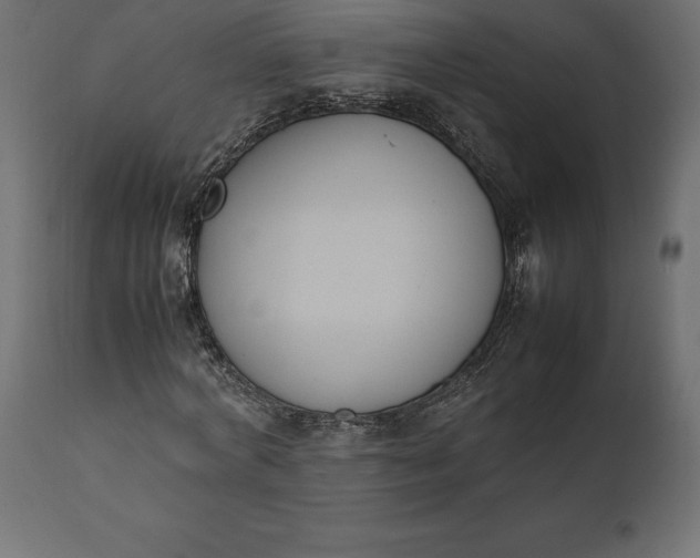 X0000111530772200907281402