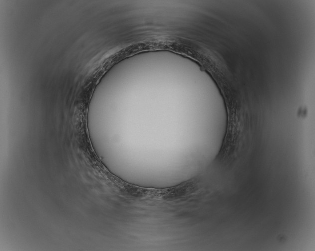 X0000111530773200907281402