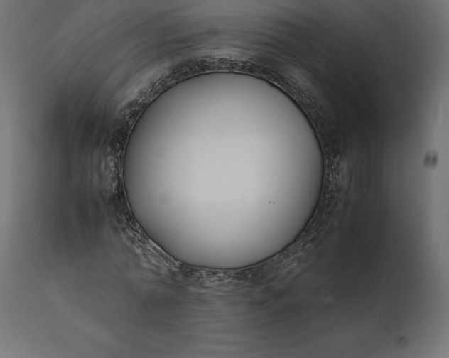 X0000111530774200907281402