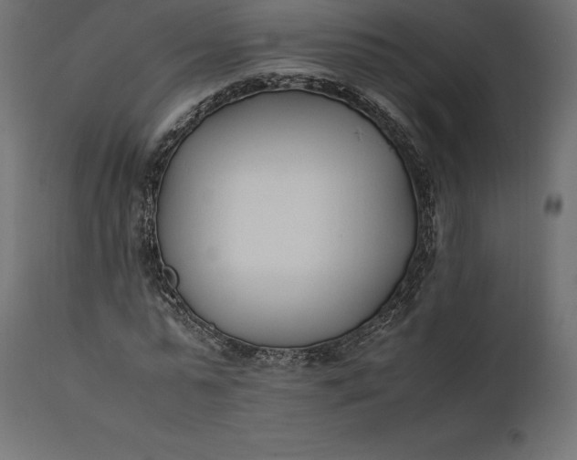 X0000111530775200907281402