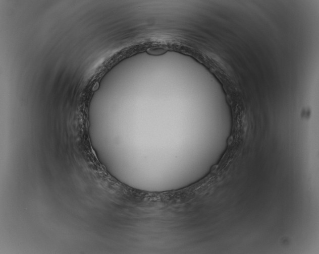 X0000111530776200907281402