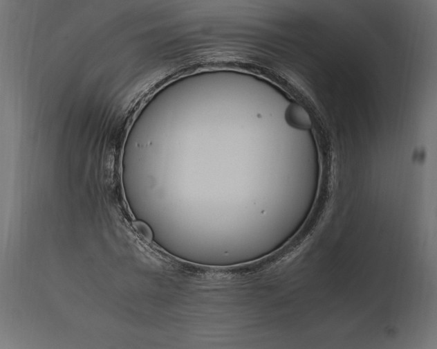 X0000111530777200907281401