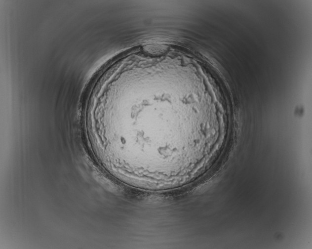 X0000111530779200907281401