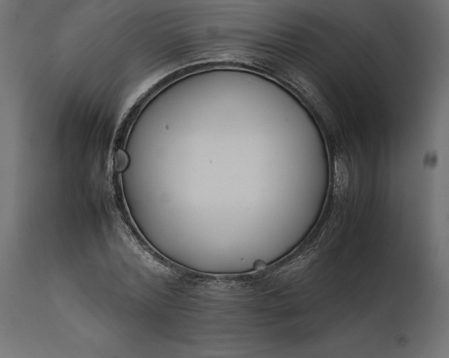 X0000111530780200907281401