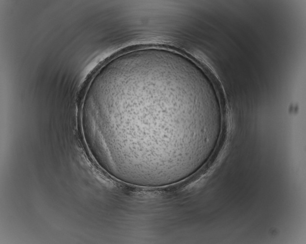 X0000111530781200907281401