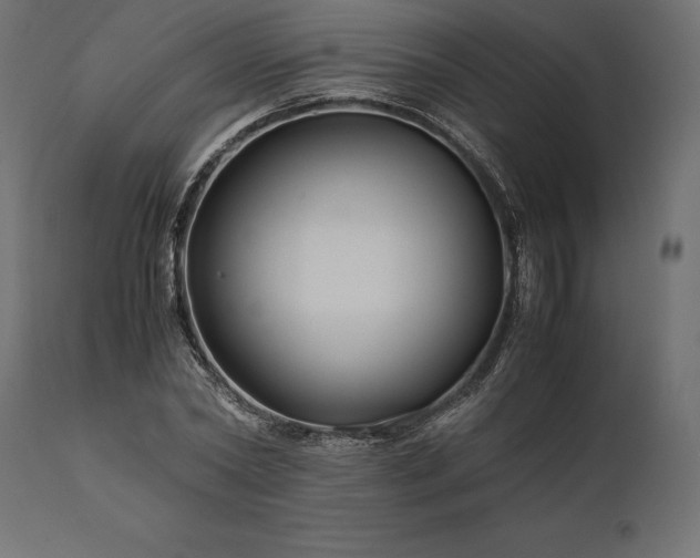 X0000111530782200907281401