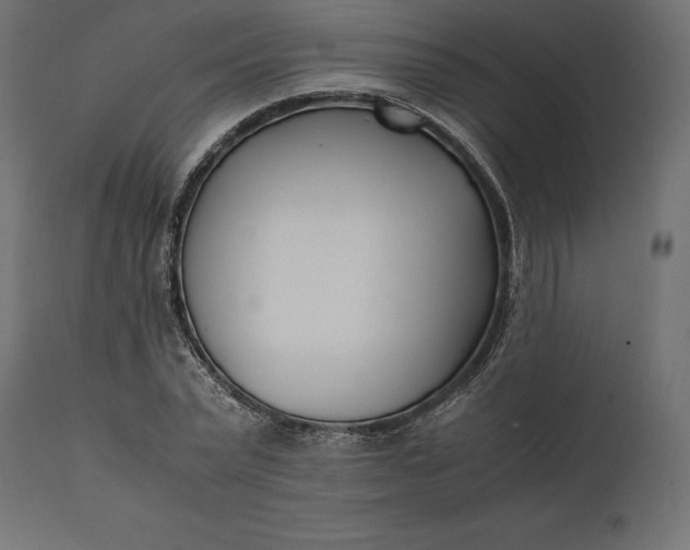 X0000111530783200907281401