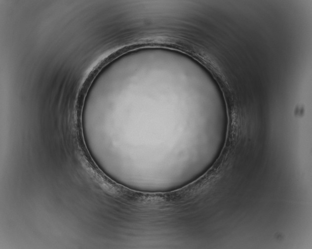 X0000111530784200907281401