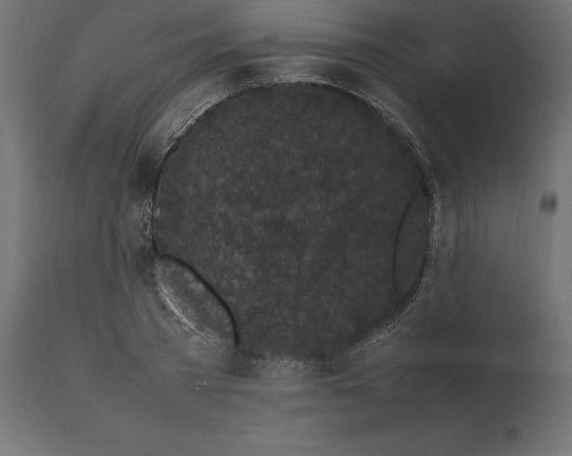 X0000111530785200907281401