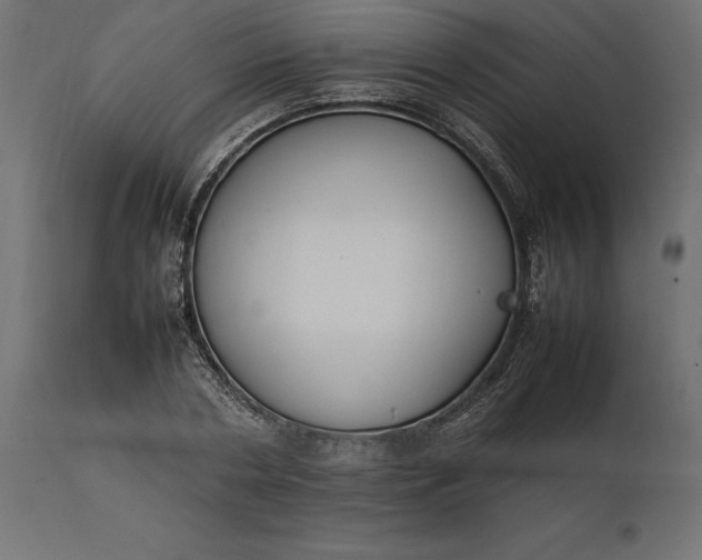 X0000111530786200907281401