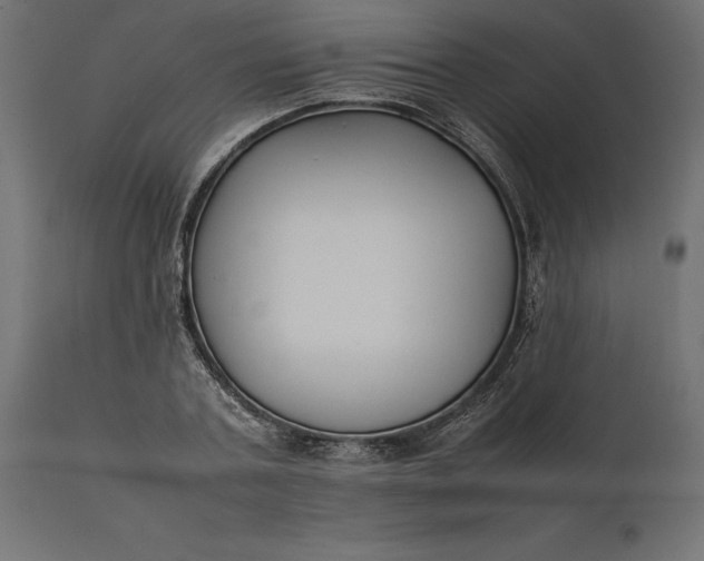 X0000111530787200907281401