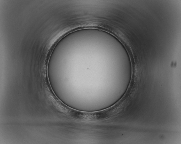 X0000111530789200907281401