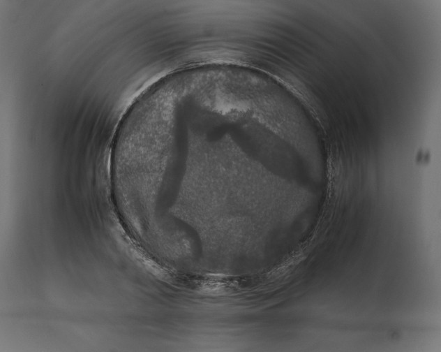 X0000111530790200907281401