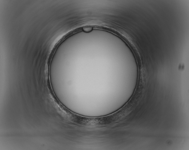 X0000111530791200907281401