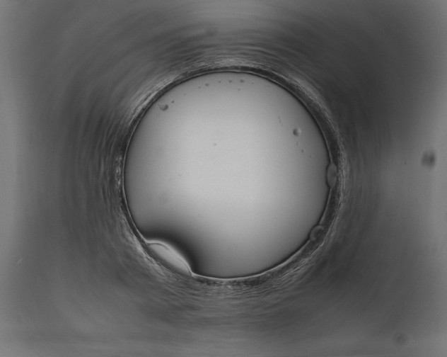 X0000111530793200907281401