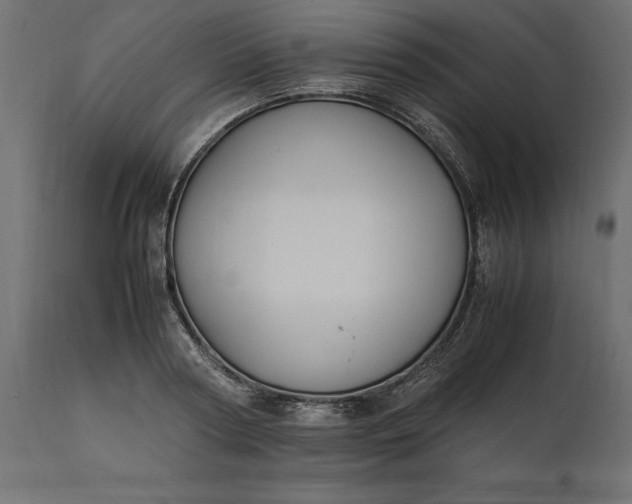 X0000111530794200907281401