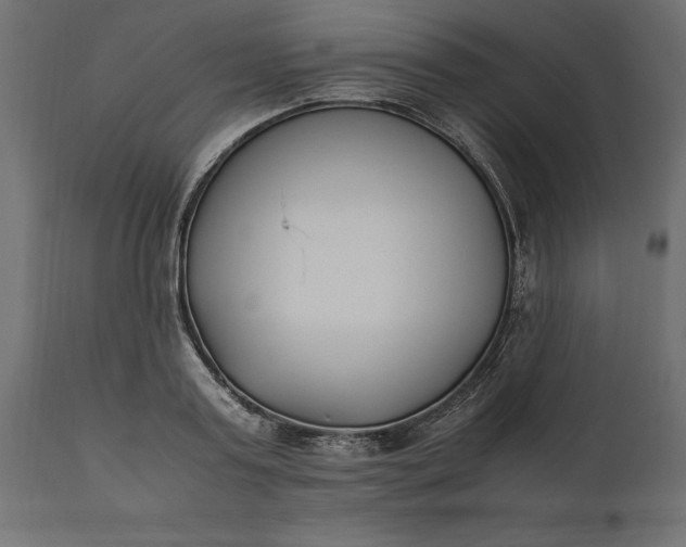 X0000111530795200907281401