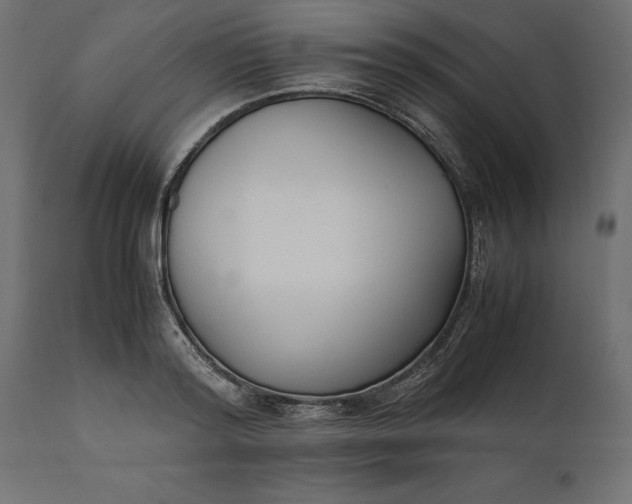 X0000111530796200907281401