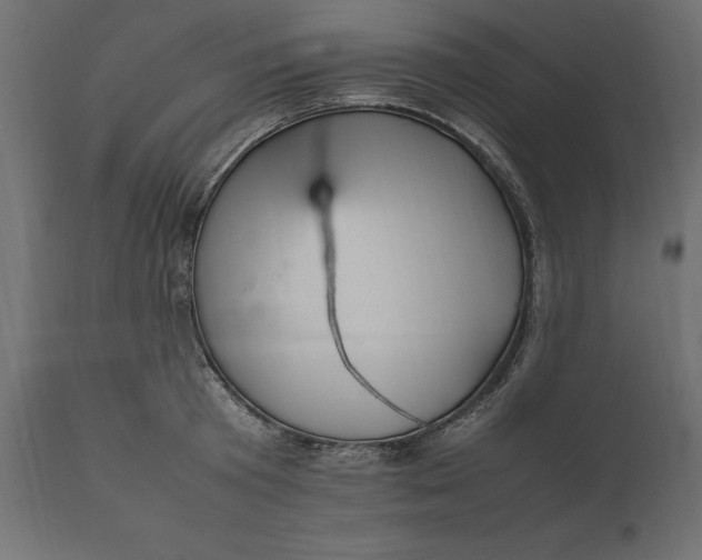 X0000111530801200907281401