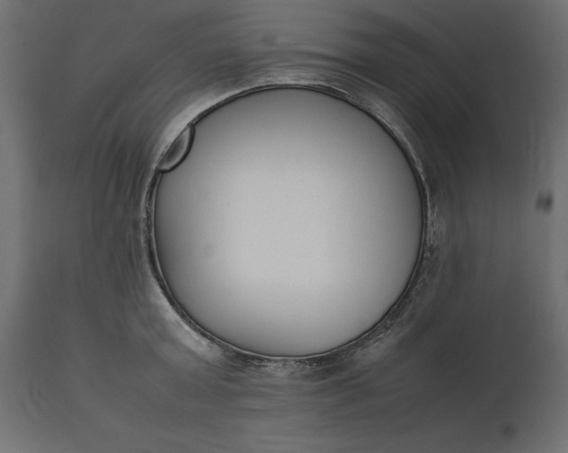 X0000111530803200907281401