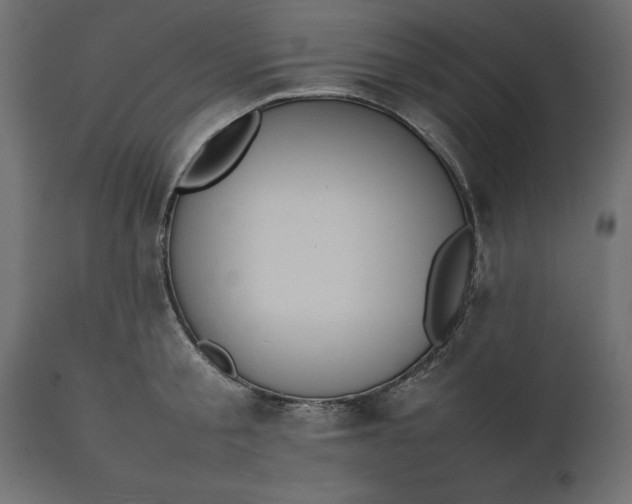 X0000111530805200907281401