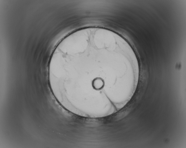 X0000111530807200907281401